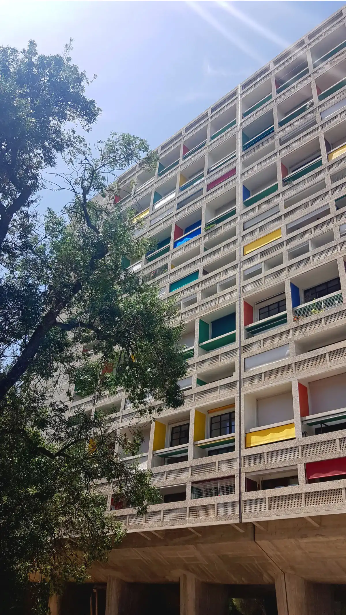 Une partie du bâtiment derrière un arbre avec un rayon de soleil
