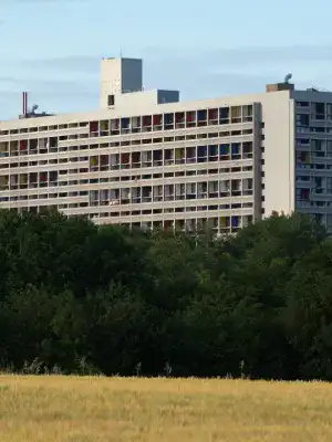 Bâtiment au loin derrière un bosquet